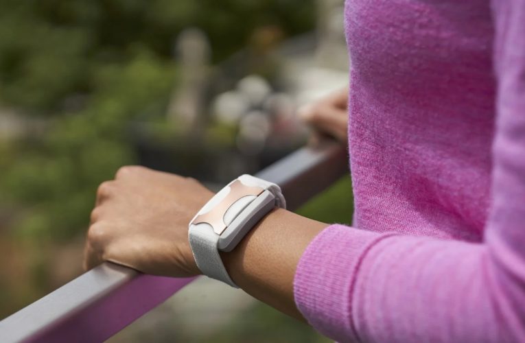 Charlotte: Can a Wearable Device Reduce Stress?